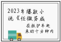 2023年爆款小说《任微芬成泓照》主角任微芬成泓照全文在线完本阅读