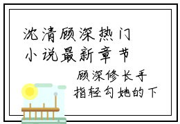 沈清顾深热门小说最新章节免费阅读-完结版全文沈清顾深小说在线阅读
