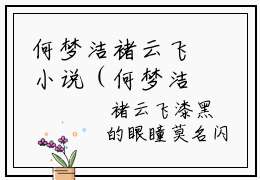 何梦洁褚云飞小说（何梦洁褚云飞）全文免费阅读_何梦洁褚云飞小说最新章节列表笔趣阁小说