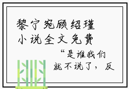 黎宁宛顾绍瑾小说全文免费阅读大结局，黎宁宛顾绍瑾好书推荐