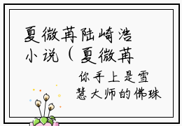 夏微苒陆崎浩小说（夏微苒陆崎浩）全文免费阅读无弹窗_夏微苒陆崎浩全文免费阅读无弹窗最新章节列表
