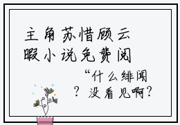 主角苏惜顾云暇小说免费阅读最新章节
