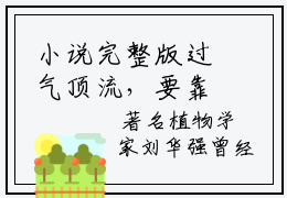 小说完整版过气顶流，要靠前女友们翻身啦  沈淮赖秋渔无弹窗免费阅读