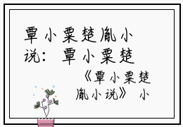 覃小粟楚胤小说：覃小粟楚胤最新章节（覃小粟楚胤）全文免费阅读无弹窗大结局_覃小粟楚胤小说阅读（覃小粟楚胤小说：覃小粟楚胤）