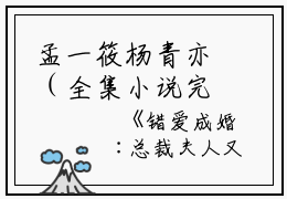 孟一筱杨青亦（全集小说完整版大结局《孟一筱杨青亦》）全文阅读_笔趣阁