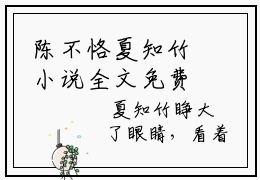 陈不恪夏知竹小说全文免费阅读正版 夏知竹免费阅读无弹窗