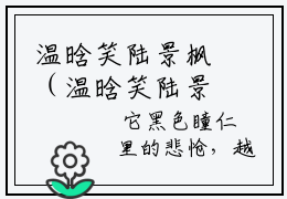 温晗笑陆景枫（温晗笑陆景枫）免费阅读-小说温晗笑陆景枫免费观看