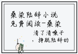 桑染陆辞小说免费阅读-桑染陆辞言情小说讲的是什么