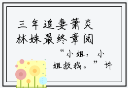 三年追妻萧炎林姝最终章阅览精彩美文摘抄 小说 萧炎林姝大结局全文免费阅读