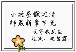 小说秦徵沈清辞最新章节免费阅读-此书退婚意，绝情不再续小说全文无删减版