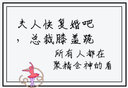 夫人快复婚吧，总裁膝盖跪烂了秦阮宋司珩是什么小说-夫人快复婚吧，总裁膝盖跪烂了全文免费阅读无弹窗大结局（秦阮宋司珩）最新章节列表在线阅读