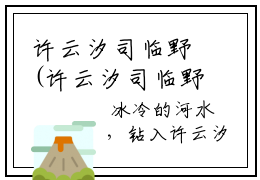 许云汐司临野(许云汐司临野)全文在线阅读无弹窗大结局_(许云汐司临野)许云汐