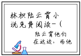 林枳陆云霄小说免费阅读-（林枳陆云霄）言情小说推荐
