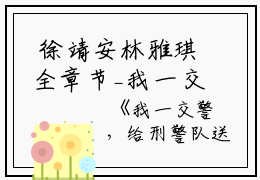  徐靖安林雅琪全章节_我一交警，给刑警队送人怎么了！小说阅读