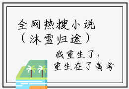 全网热搜小说（沐雪归途）的小说主角是（林弯弯季韩）沐雪归途全文免费阅读
