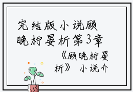 完结版小说顾晚柠晏析第3章阅读