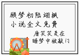 顾梦初陆翊枫小说全文免费阅读无弹窗大结局-顾梦初陆翊枫小说在哪里可以看