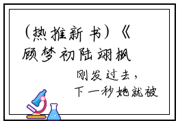 (热推新书)《顾梦初陆翊枫》全文免费阅读无弹窗大结局-顾梦初陆翊枫无弹窗阅
