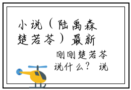 小说（陆禹森楚若苓）最新章节免费阅读-（陆禹森楚若苓）小说全文无删减版