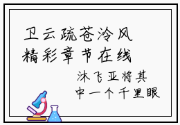 卫云疏苍泠风精彩章节在线阅读,卫云疏苍泠风小说全文最新章节列表