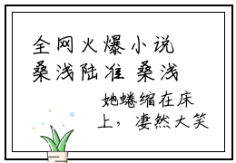 全网火爆小说桑浅陆准 桑浅陆准无广告免费阅读