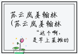苏云岚姜翰林(苏云岚姜翰林)全文免费阅读无弹窗大结局(苏云岚姜翰林)苏云岚