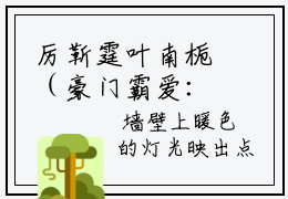 厉靳霆叶南栀（豪门霸爱：厉总的小野猫太撩人）无广告免费阅读-小说厉靳霆叶南栀最后结局如何