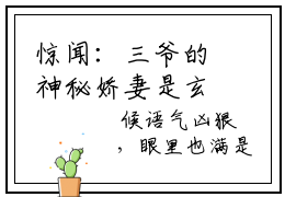 惊闻：三爷的神秘娇妻是玄学大佬小说沐姩陆屿寒大结局免费阅读-精彩小说沐姩陆屿寒（惊闻：三爷的神秘娇妻是玄学大佬）