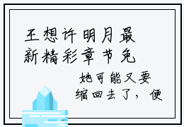 王想许明月最新精彩章节免费阅读 妄想过你在线完整版