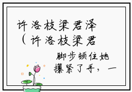 许洛枝梁君泽（许洛枝梁君泽小说）全文免费阅读无弹窗大结局_许洛枝梁君泽小说免费阅读-笔趣阁