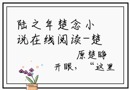 陆之年楚念小说在线阅读-楚念陆之年小说最新章节阅读