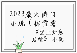 2023最火热门小说（林雪意靳淮叙）在线阅读-林雪意靳淮叙精彩小说雪上知意全文赏析