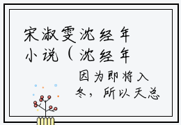 宋淑雯沈经年小说（沈经年宋淑雯）全文免费阅读结局-宋淑雯沈经年强推全文阅读无弹窗