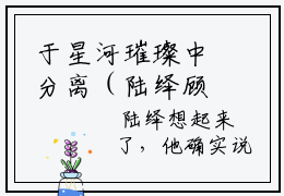 于星河璀璨中分离（陆绎顾清宁全文免费大结局）在线阅读-陆绎顾清宁全文无删减免费赏析