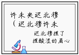 许未央迟北穆（迟北穆许未央）全文免费阅读无弹窗大结局_许未央迟北穆小说最新章节列表_笔趣阁
