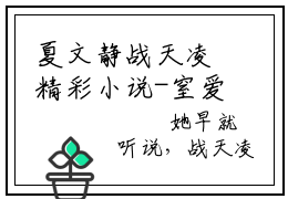 夏文静战天凌精彩小说-窒爱隐婚：总裁的噩梦娇妻全章节免费阅读