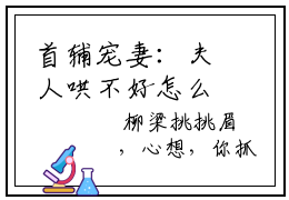 首辅宠妻：夫人哄不好怎么办？小说目录  沈明珠林兰全文完整版