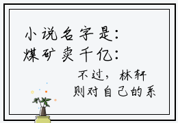 小说名字是：煤矿卖千亿：我养活半个娱乐圈，林轩的小说全文免费阅读无弹窗