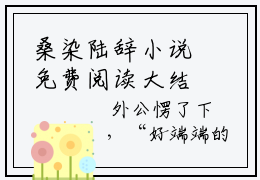 桑染陆辞小说免费阅读大结局，桑染陆辞章节阅读