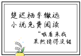 楚迟栖季辙远小说免费阅读-（楚迟栖季辙远）言情小说推荐