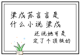 梁戍苏言言是什么小说 梁戍苏言言全本免费阅读