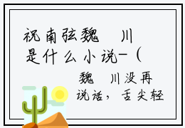 祝南弦魏璟川是什么小说-（祝南弦魏璟川）小说全文阅读