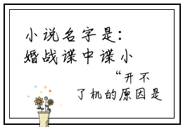 小说名字是：婚战谍中谍小说免费阅读无弹窗,小说名字是：张凡的小说在线阅读无删减