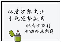 林清汐陆之州小说完整版阅读 林清汐陆之州全文在线赏析