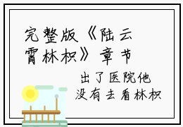 完整版《陆云霄林枳》章节目录陆云霄林枳在线阅读