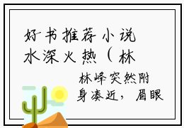 好书推荐小说水深火热（林峰）-水深火热全文免费阅读大结局