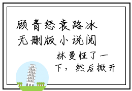 顾青怒袁路冰无删版小说阅读-顾青怒袁路冰全文无弹窗试读