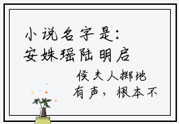 小说名字是：安姝瑶陆明启的小说全文免费阅读-（安姝瑶陆明启小说免费阅读）安姝瑶陆明启正版小说免费阅读_笔趣阁
