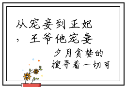 从宠妾到正妃，王爷他宠妻证道小说杜夕月免费阅读-从宠妾到正妃，王爷他宠妻证道抖音新书热荐杜夕月
