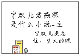 宁欢儿君燕琛是什么小说_主角是（宁欢儿君燕琛）的小说（宁欢儿君燕琛）最新章节无弹窗阅读